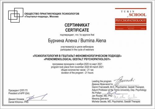 Сертификат - Бурнина Алена Сергеевна