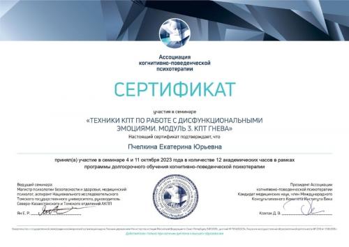 Сертификат о повышении квалификации Пчеликной Екатирны Юрьевны