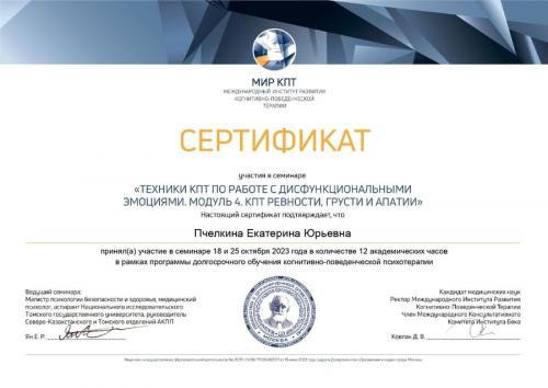 Сертификат о повышении квалификации Пчеликной Екатирны Юрьевны
