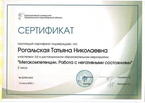 Рогальская Татьяна Николаевна - сертификат на повышение квалификации
