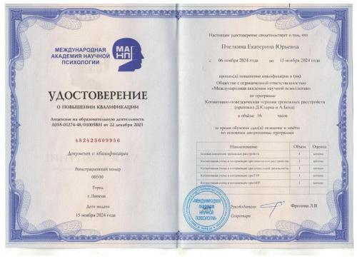 Удостоверение о повышении квалификации Пчеликной Екатирны Юрьевны